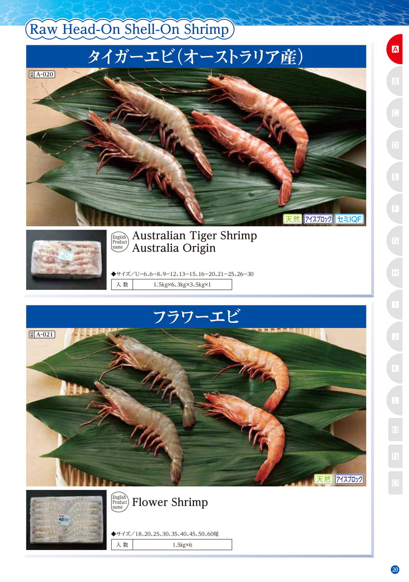 Shrimp Raw Head-On Shell-On Shrimp