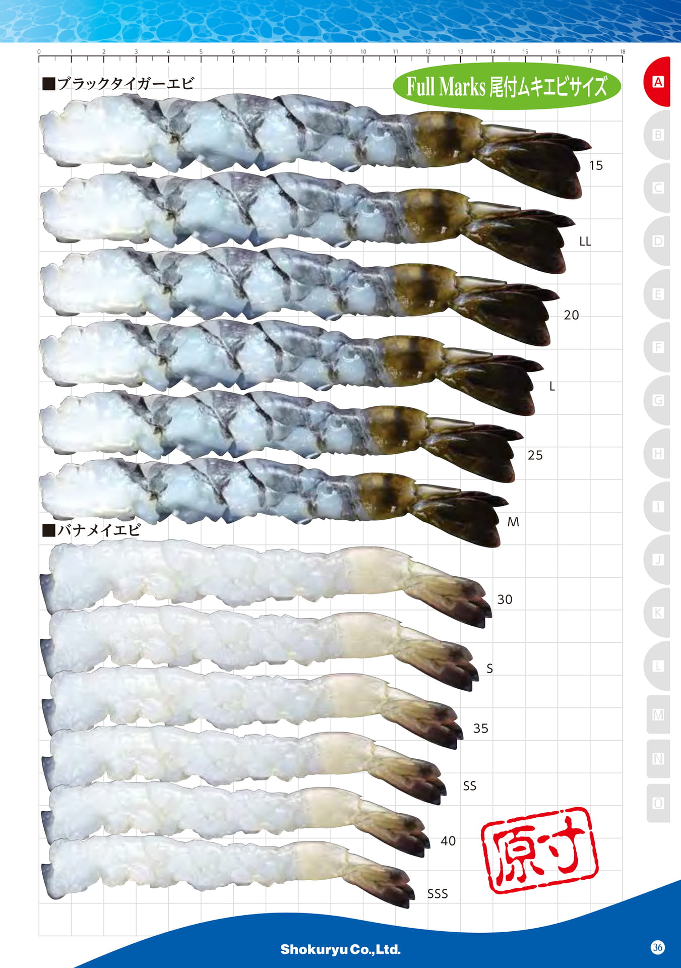 Shrimp Raw Peeled Tail-On Stretching Shrimp Size