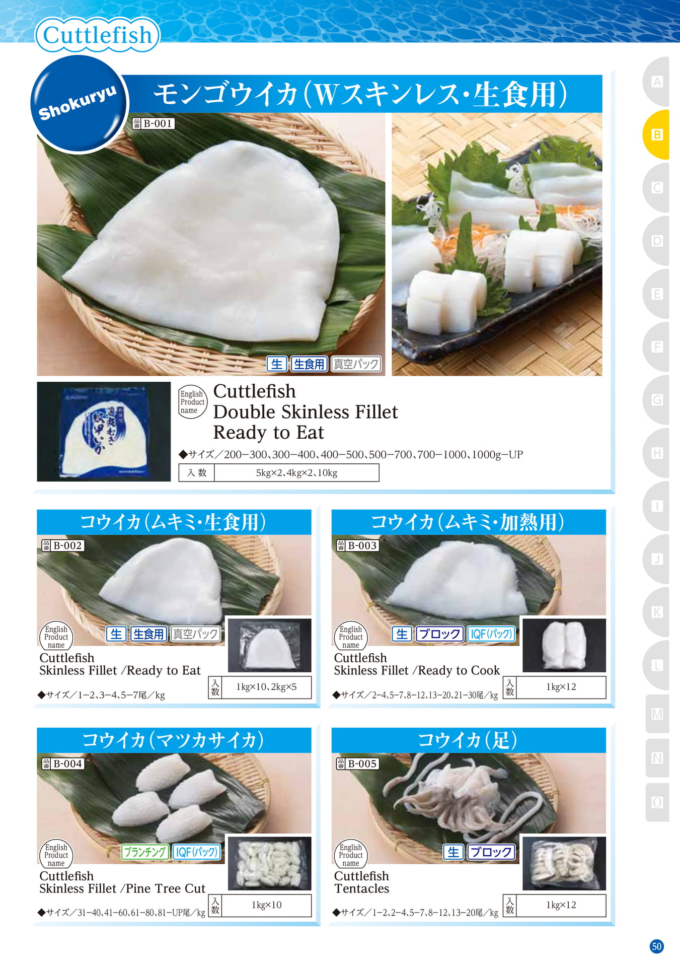 Squid・Octopus Cuttlefish