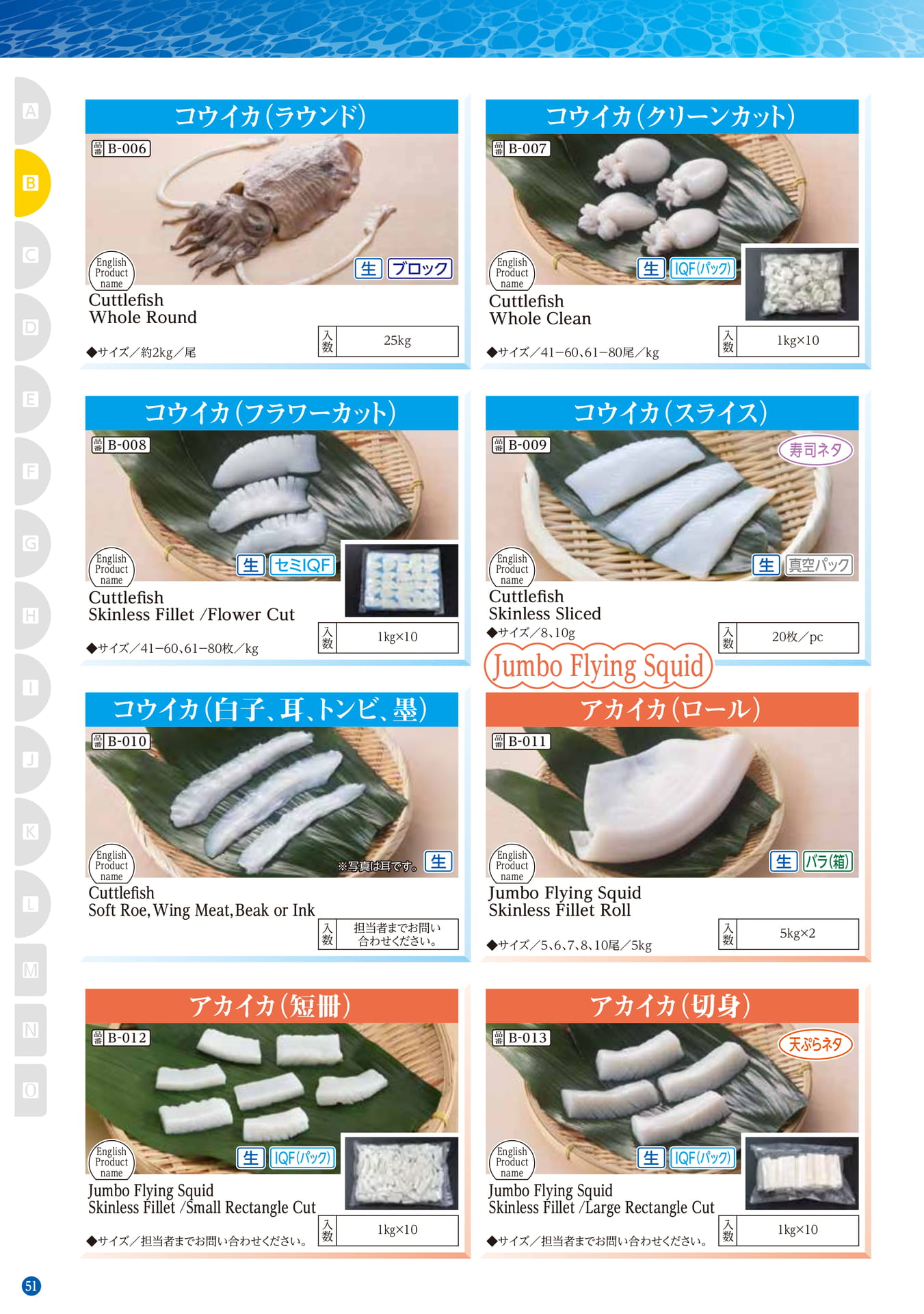 Squid・Octopus Cuttlefish Jumbo Flying Squid