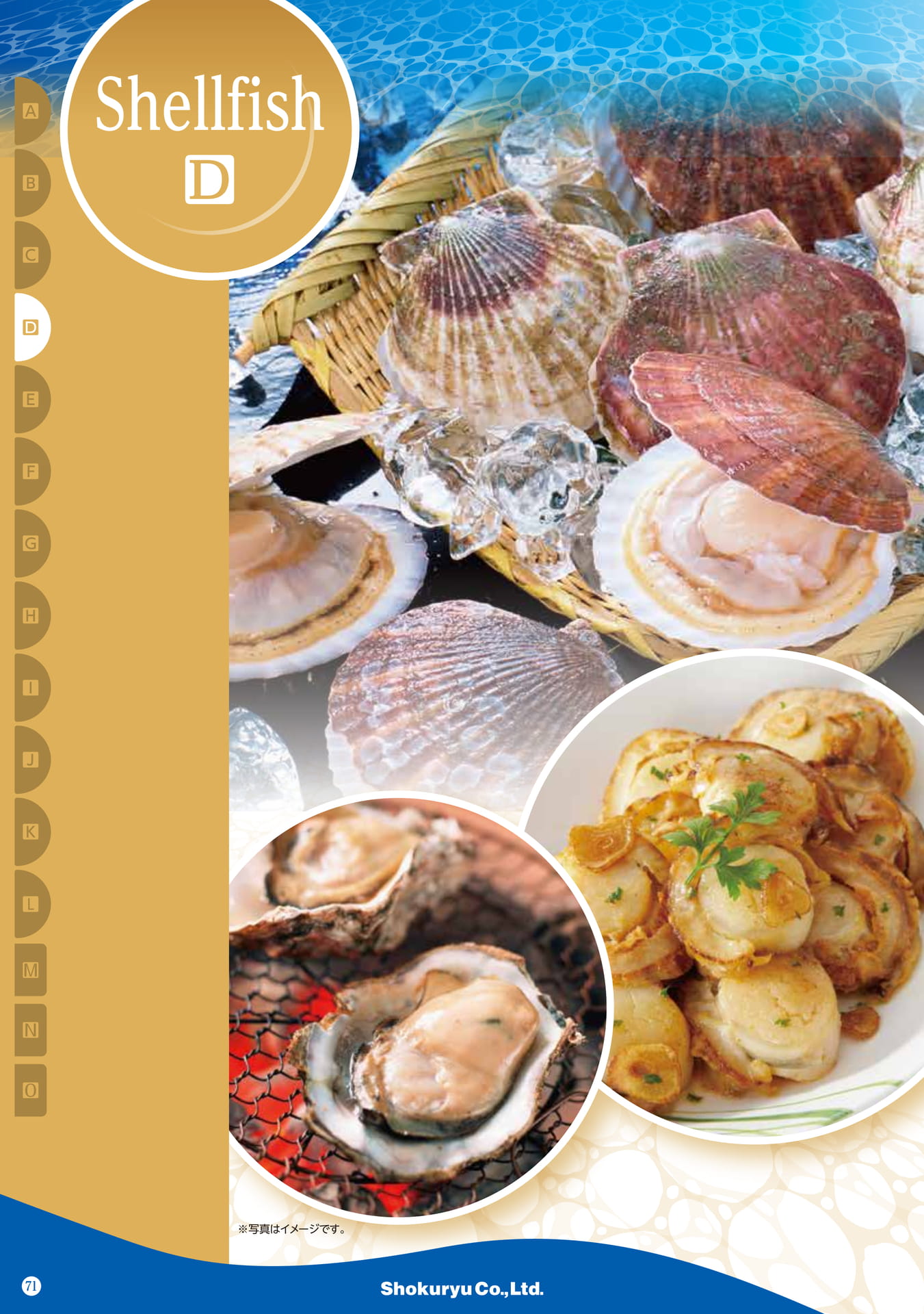 Shellfish