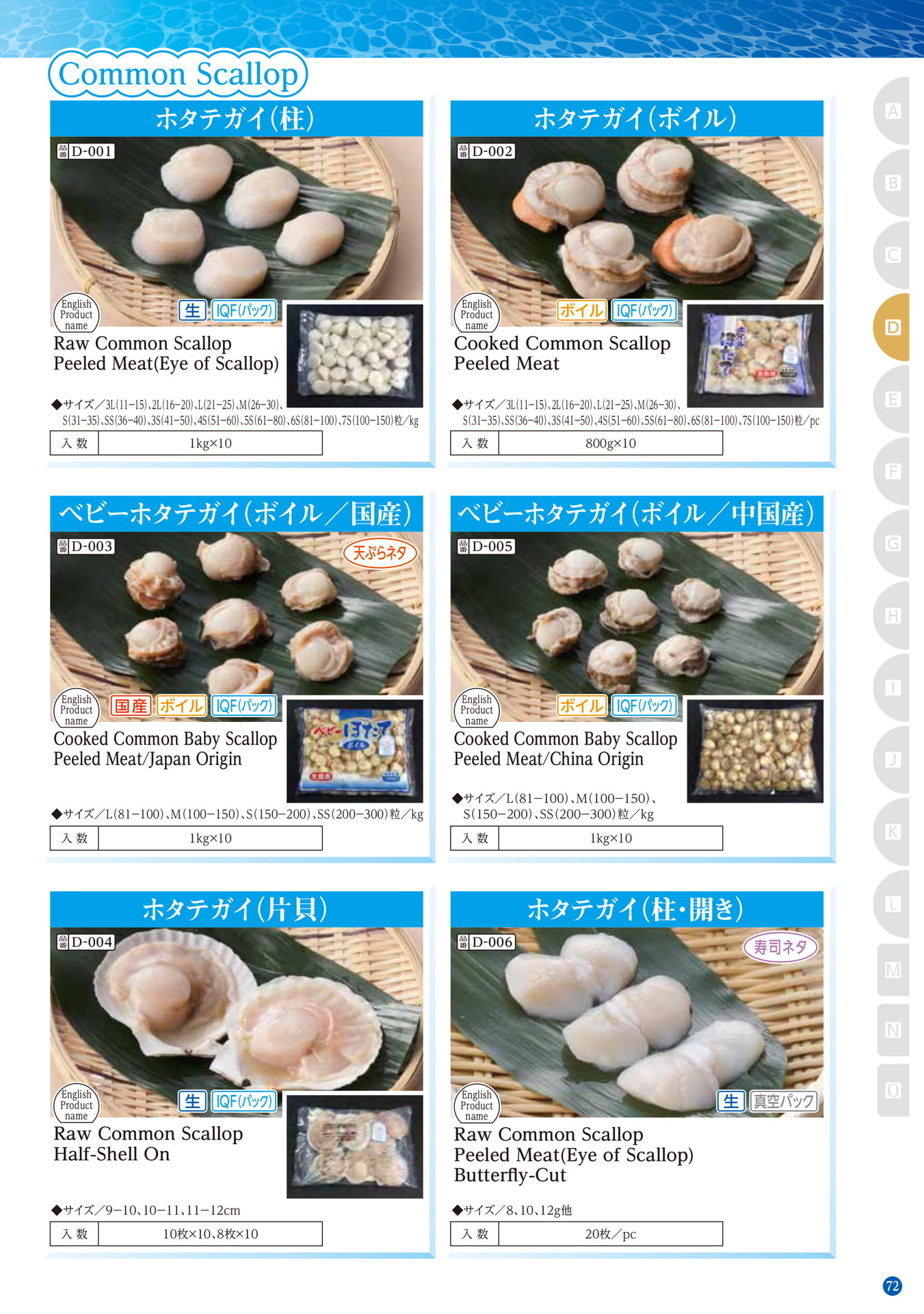 Shellfish Common Scallop