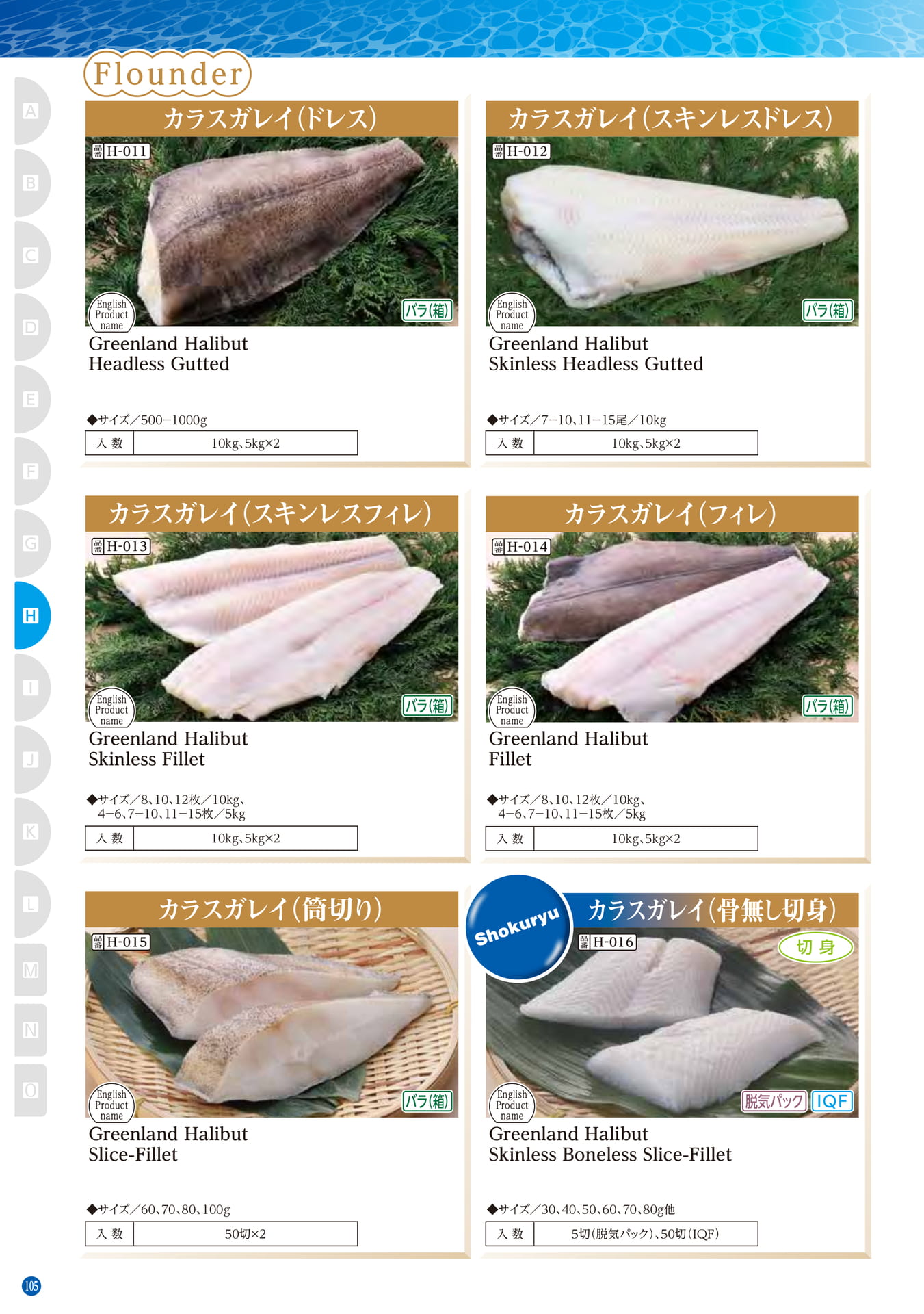 Northern Hemisphere Fish Flounder