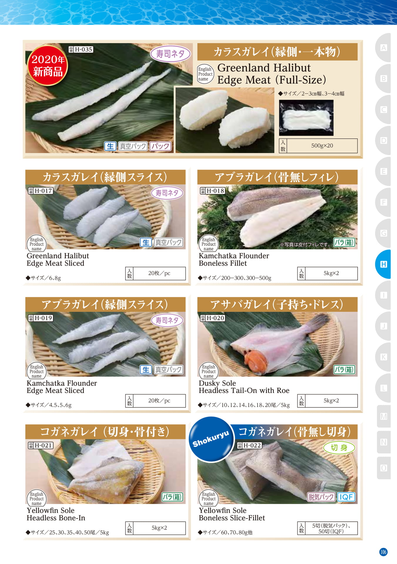 Northern Hemisphere Fish Flounder
