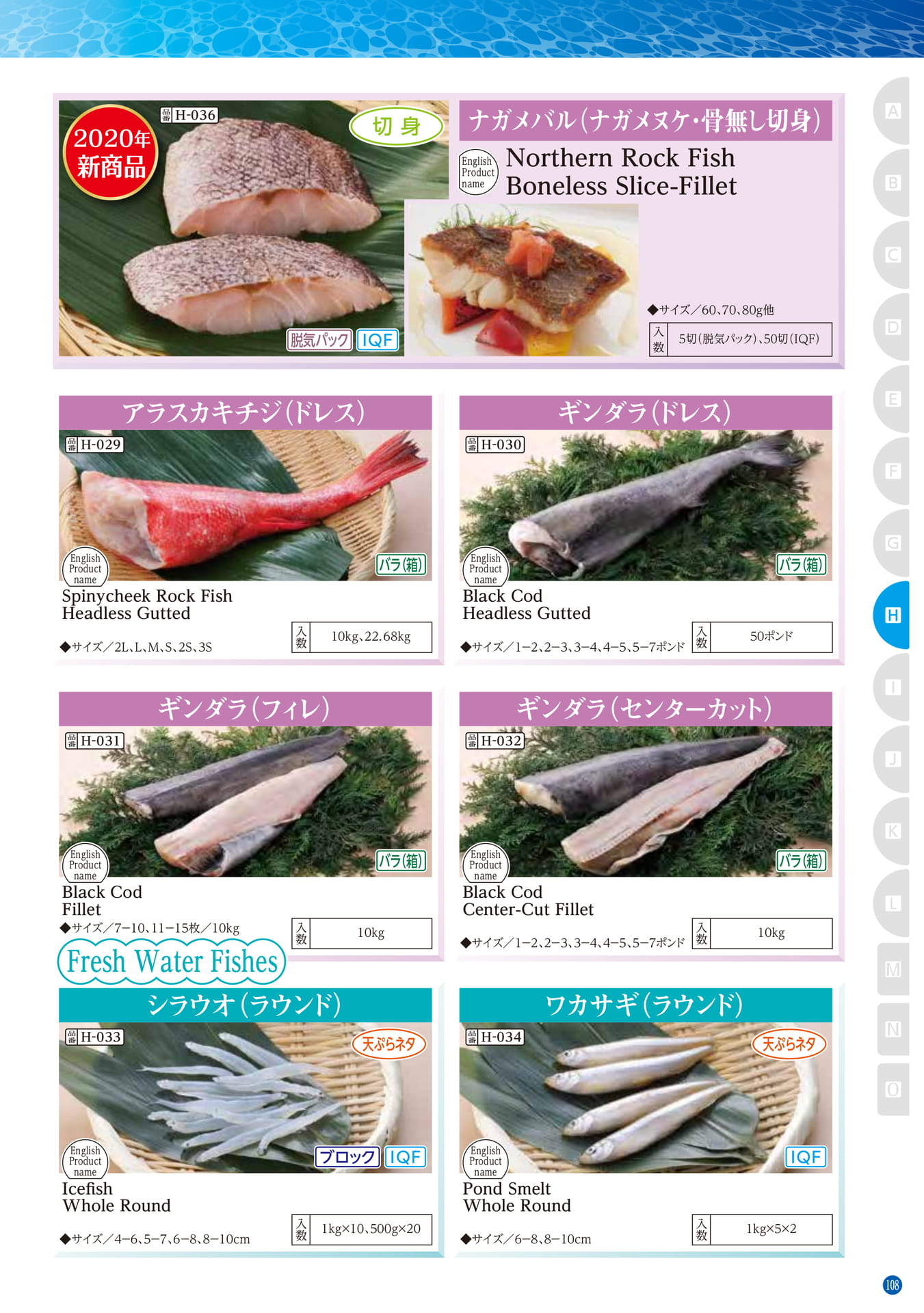 Northern Hemisphere Fish Fresh Water Fishes