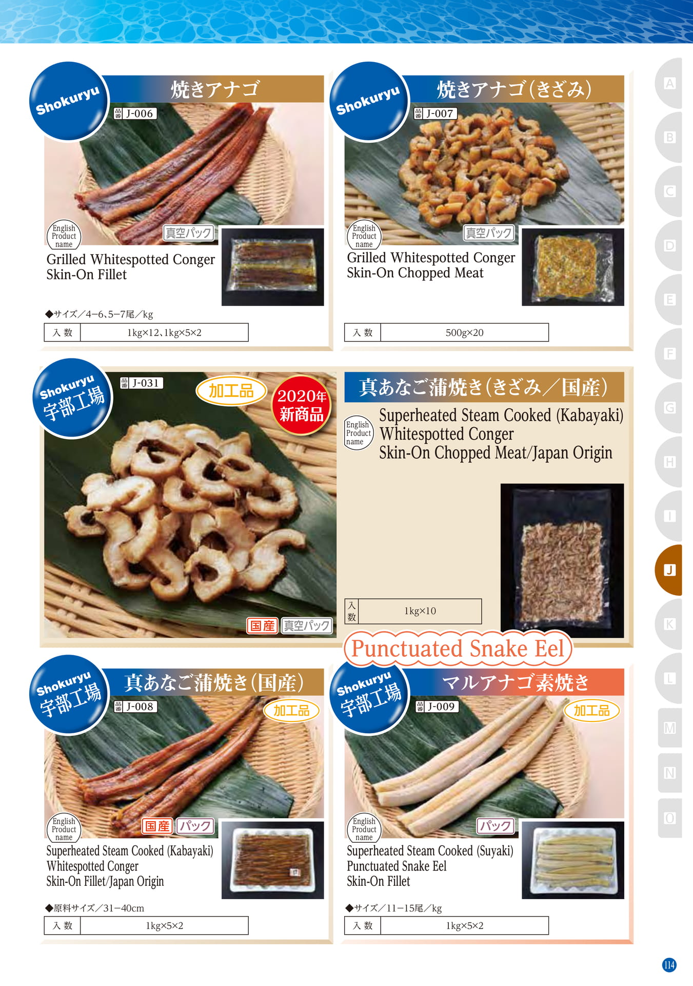 Conger・Pike Conger・Eel Whitespotted Conger