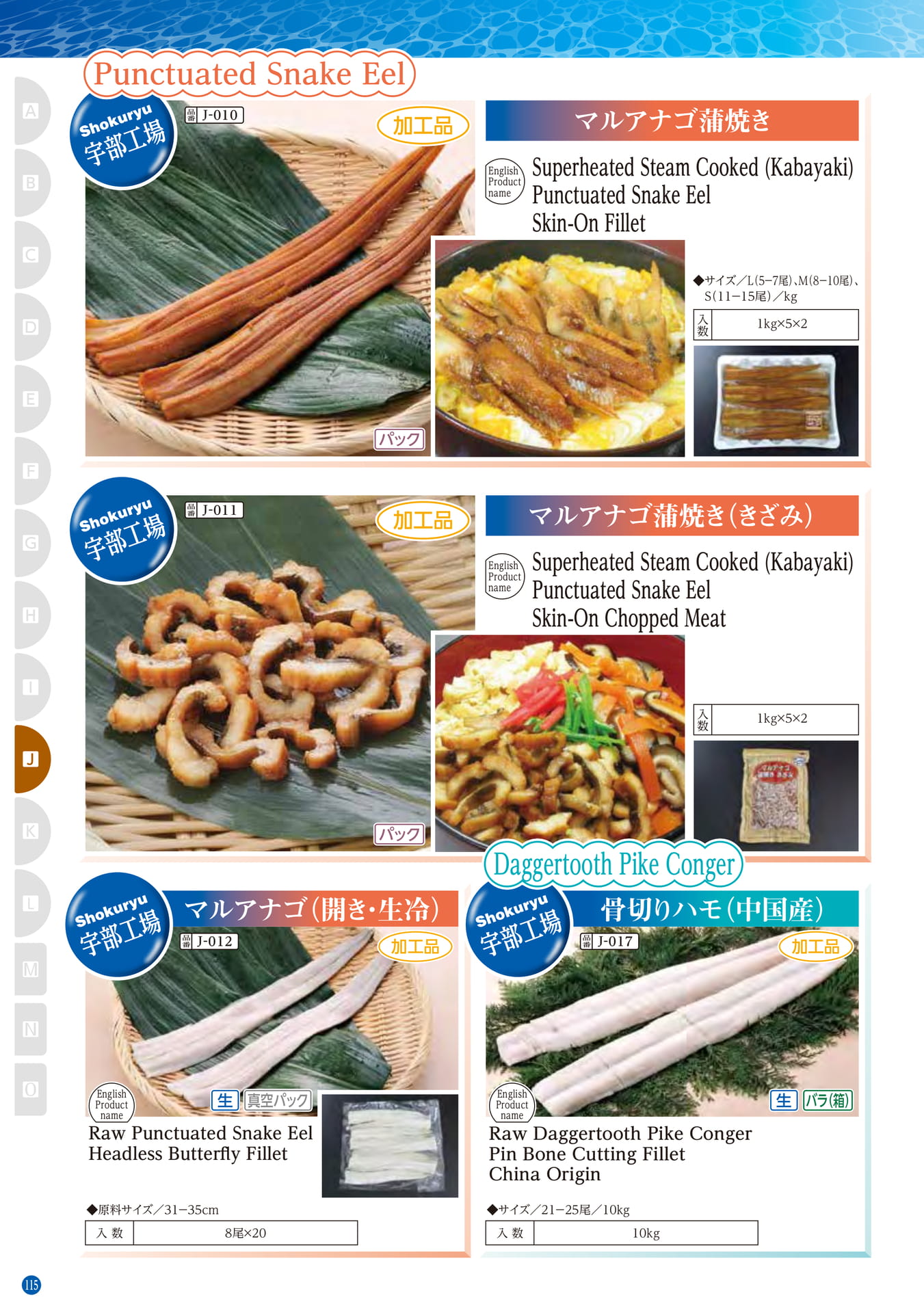Conger・Pike Conger・Eel Punctuated Snake Eel