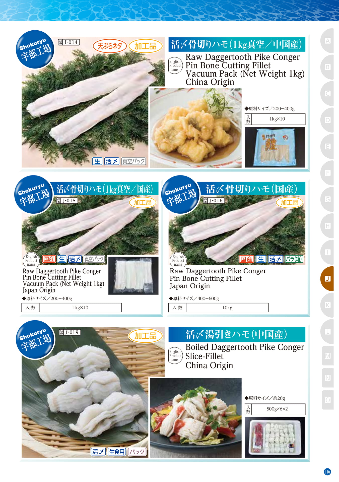Conger・Pike Conger・Eel Daggertooth Pike Conger