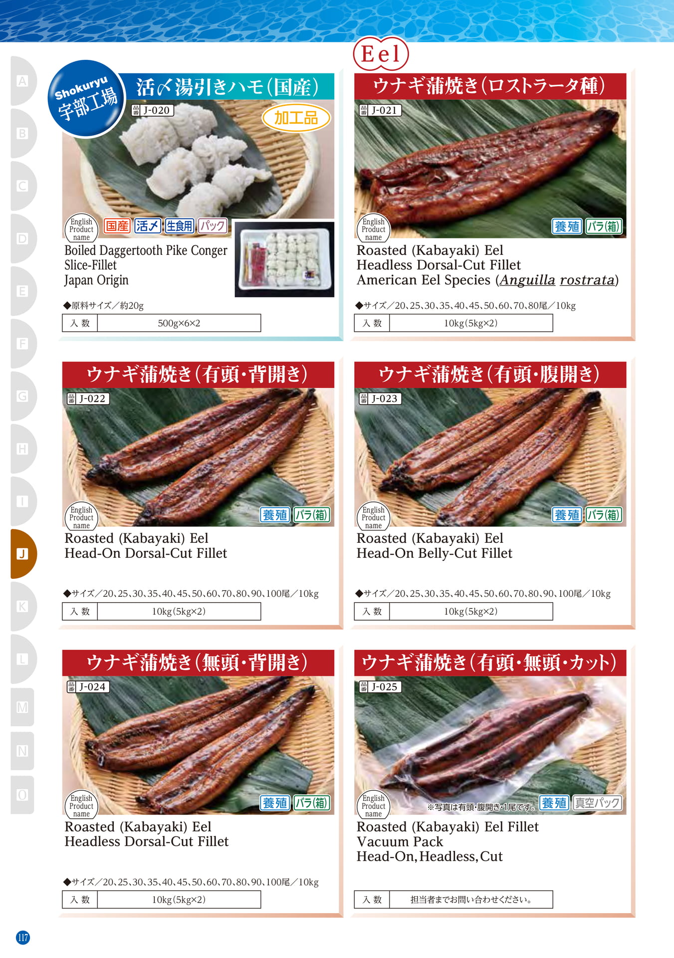 Conger・Pike Conger・Eel Daggertooth Pike Conger