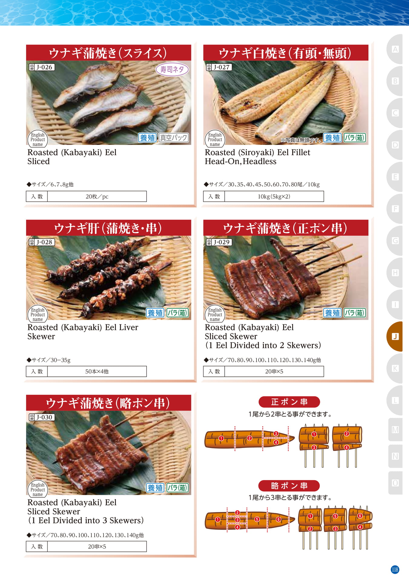 Conger・Pike Conger・Eel Daggertooth Pike Conger