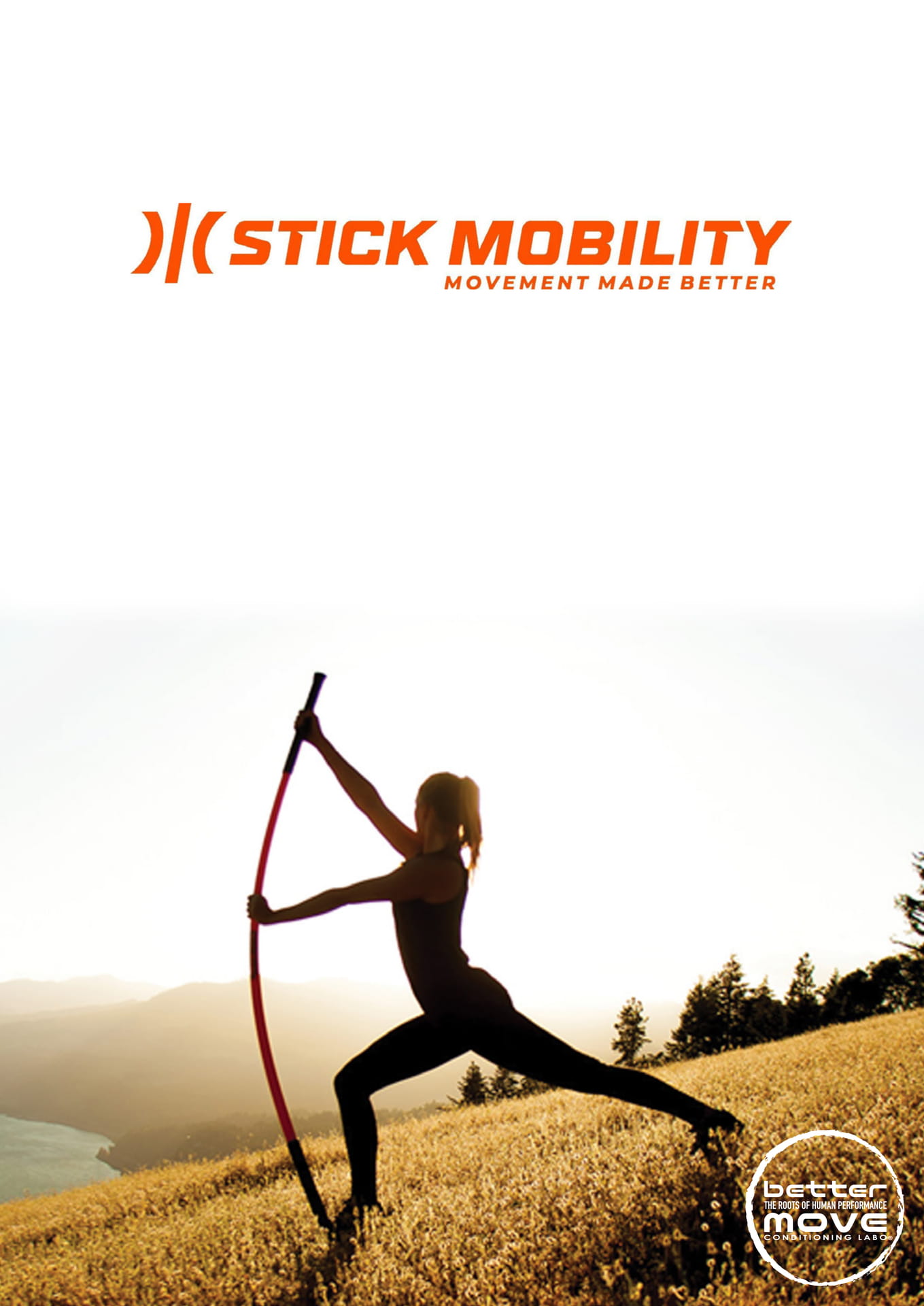 Stick Mobility-スティックモビリティ-日本総輸入販売元-株式会社vit