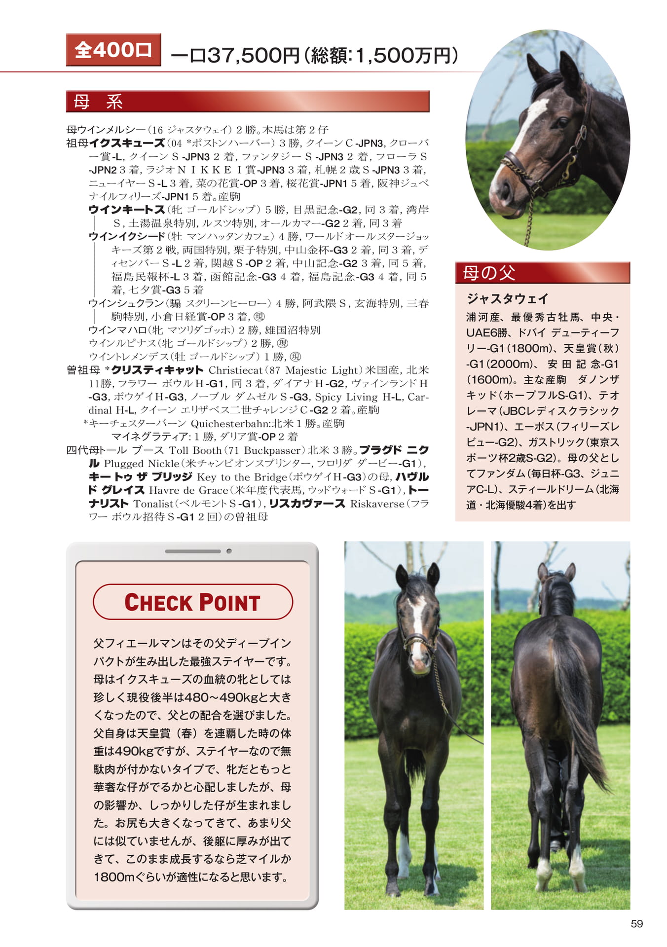 Page 61