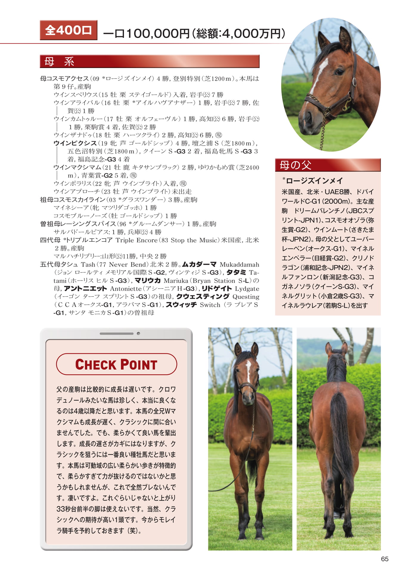 Page 67