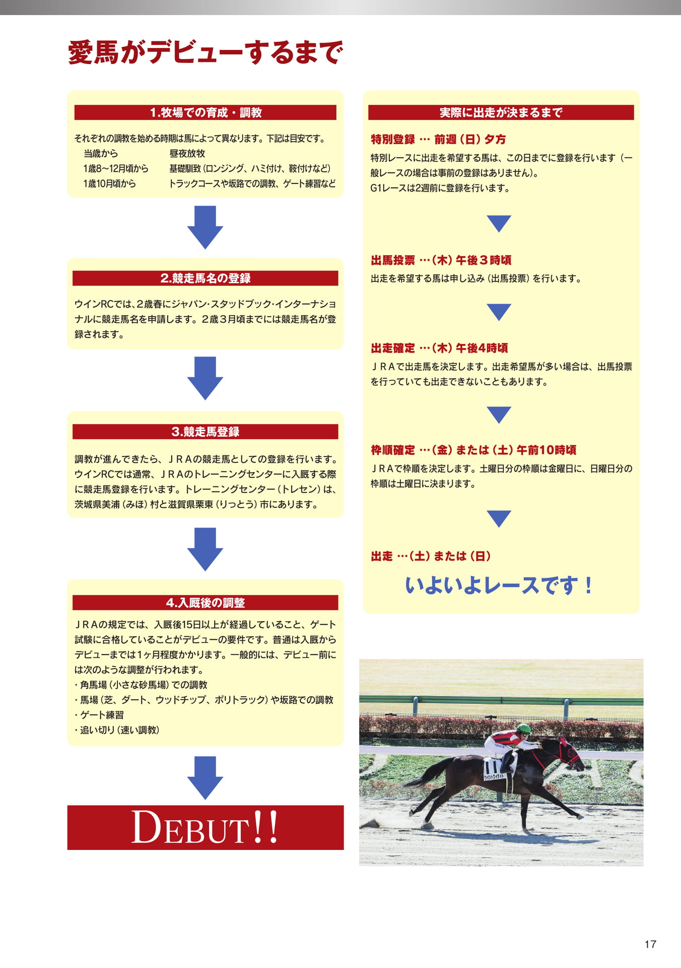 Page 17 愛馬がデビューするまで