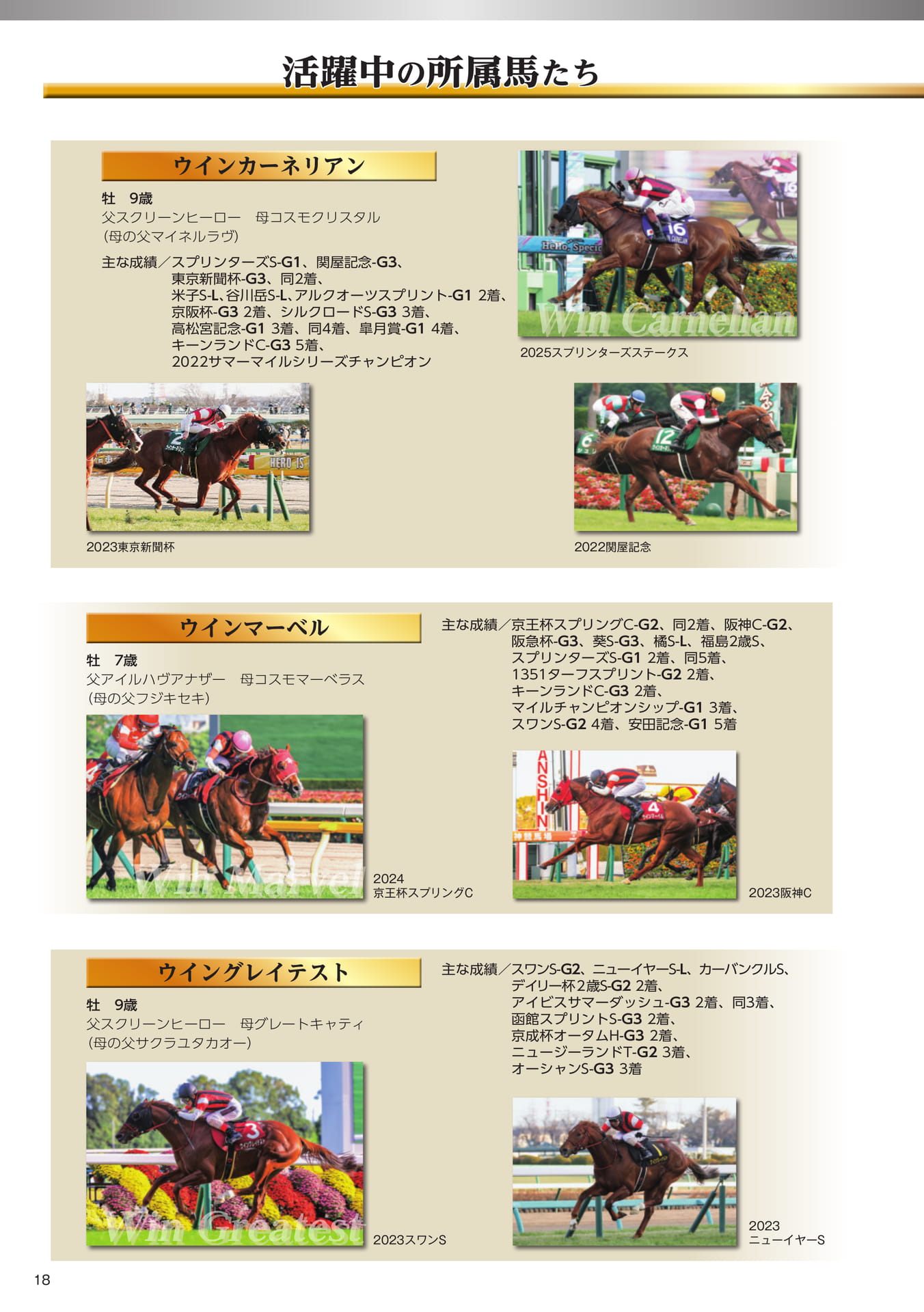 Page 18 活躍中の所属馬たち