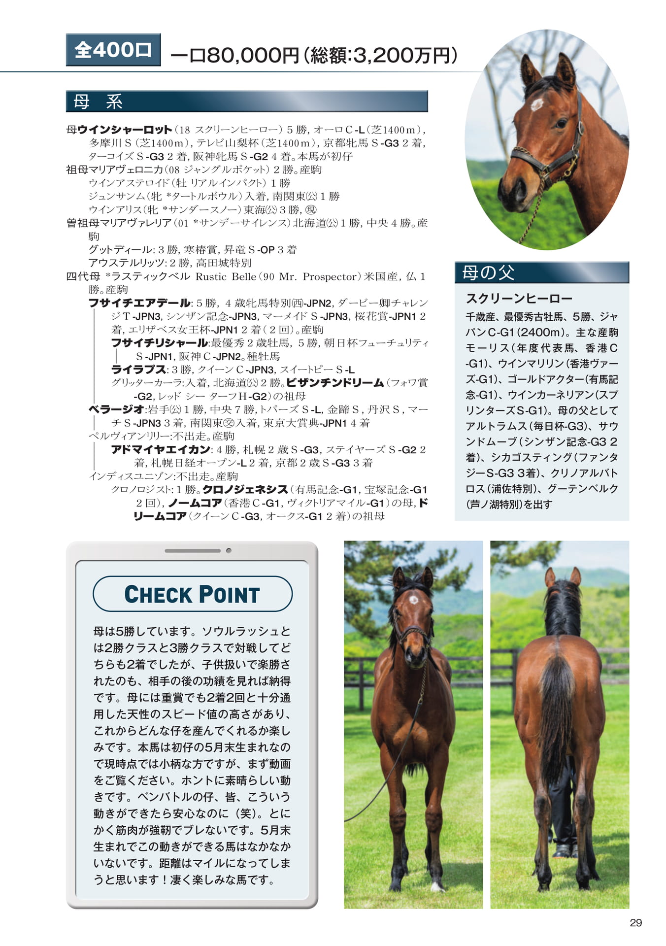 Page 29 4 ウインシャーロットの25