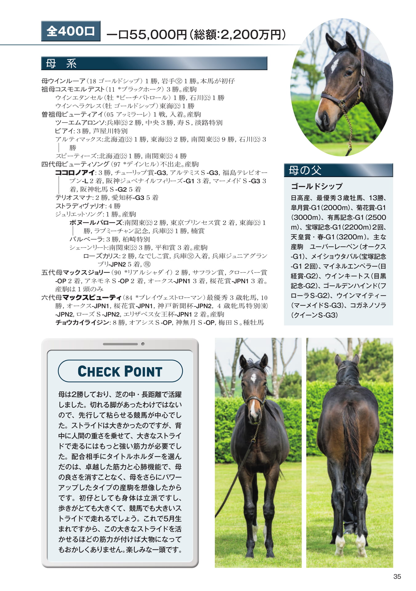 Page 35 7 ウインルーアの25
