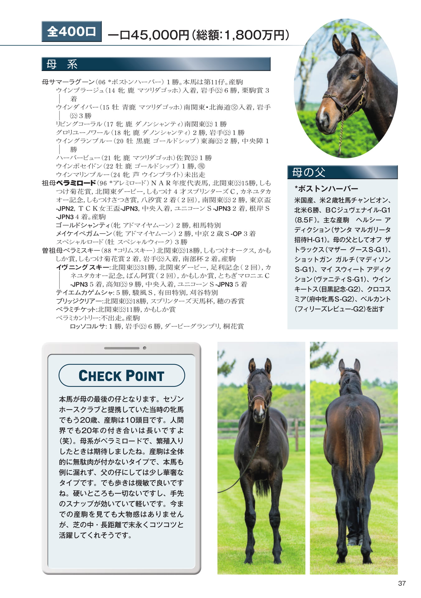Page 37 8 サマーラグーンの25