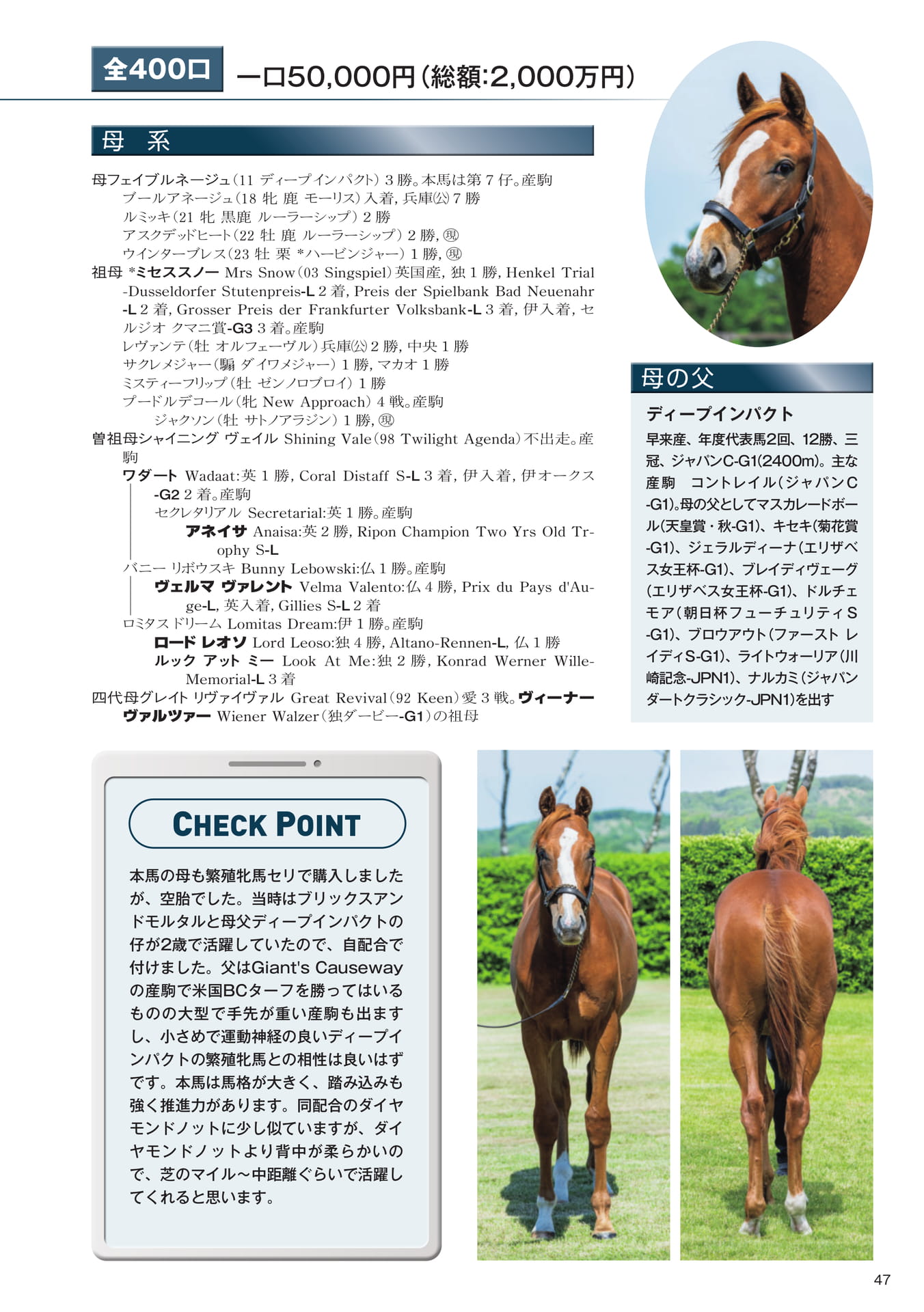 Page 47 13 フェイブルネージュの25
