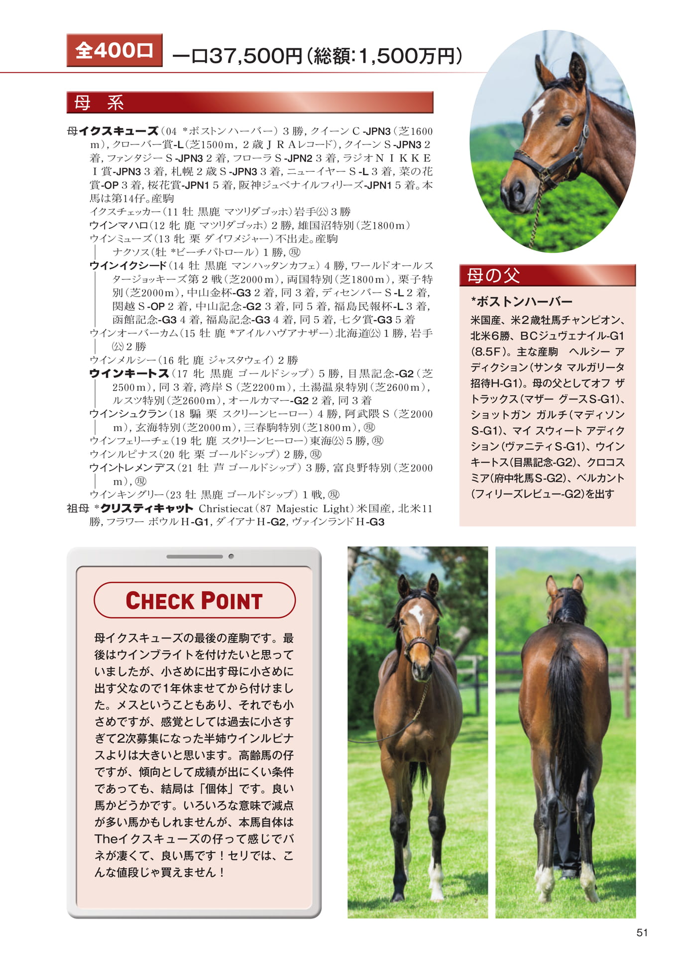 Page 51 15 イクスキューズの25