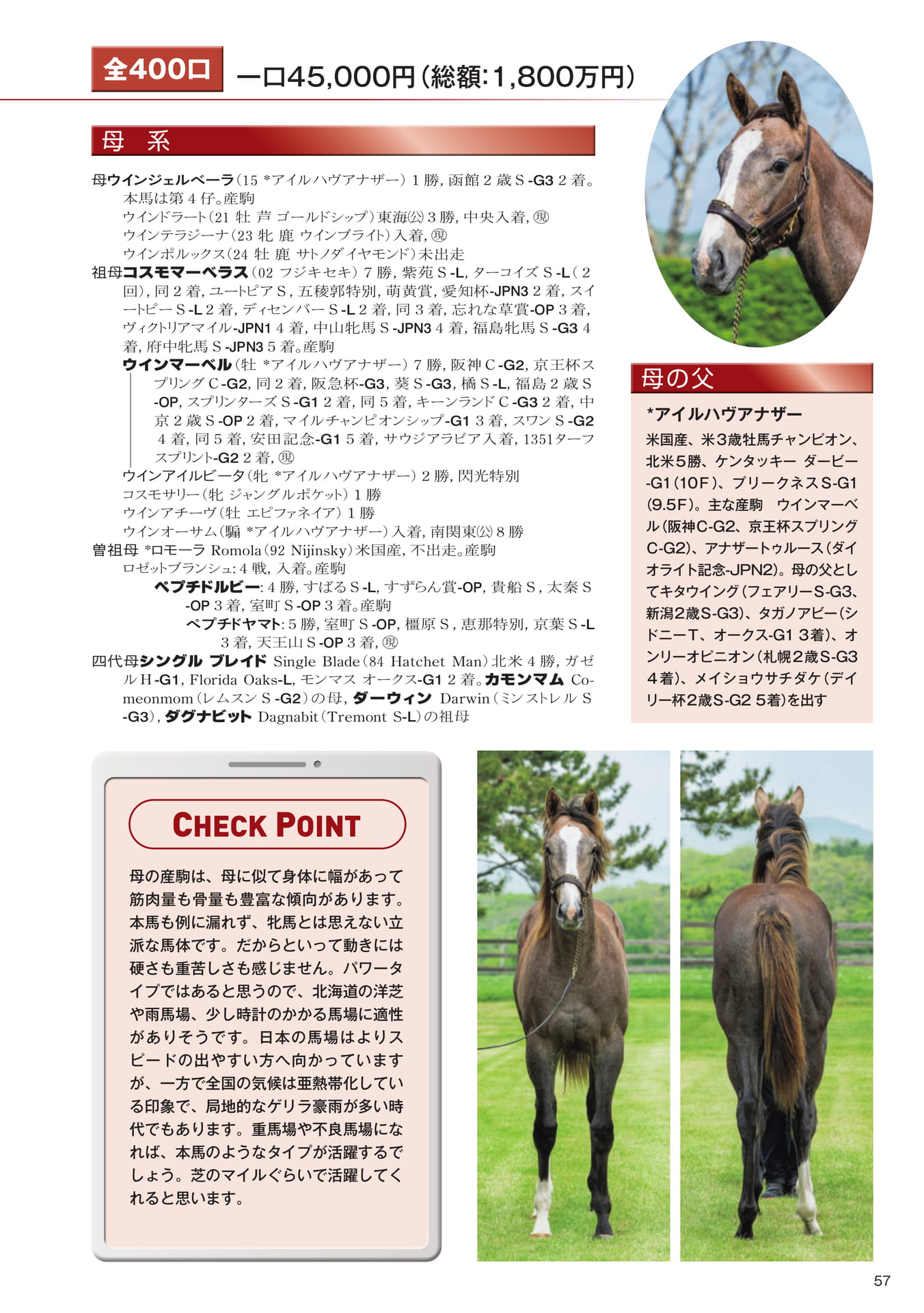 Page 57 18 ウインジェルベーラの25