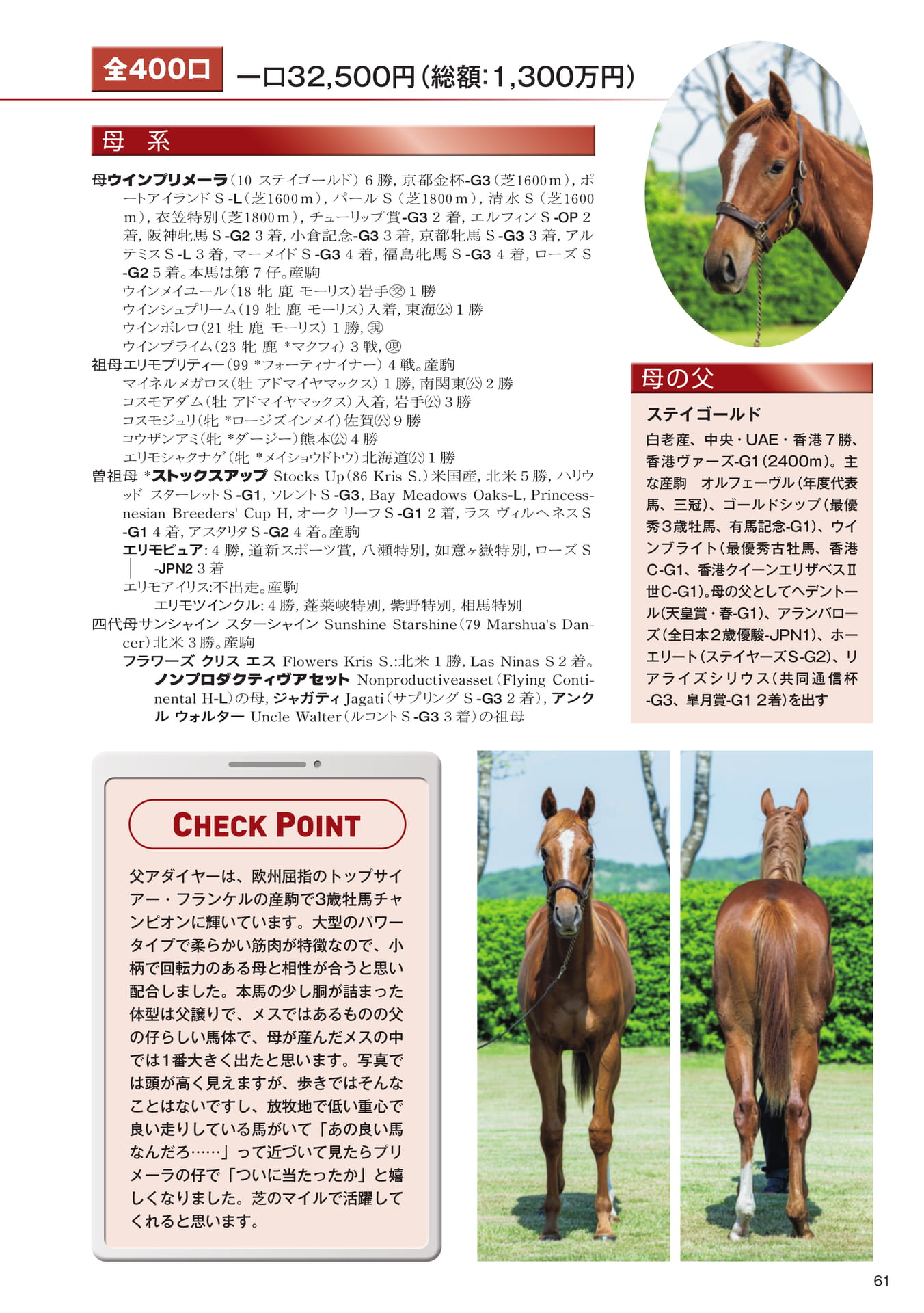 Page 61 20 ウインプリメーラの25