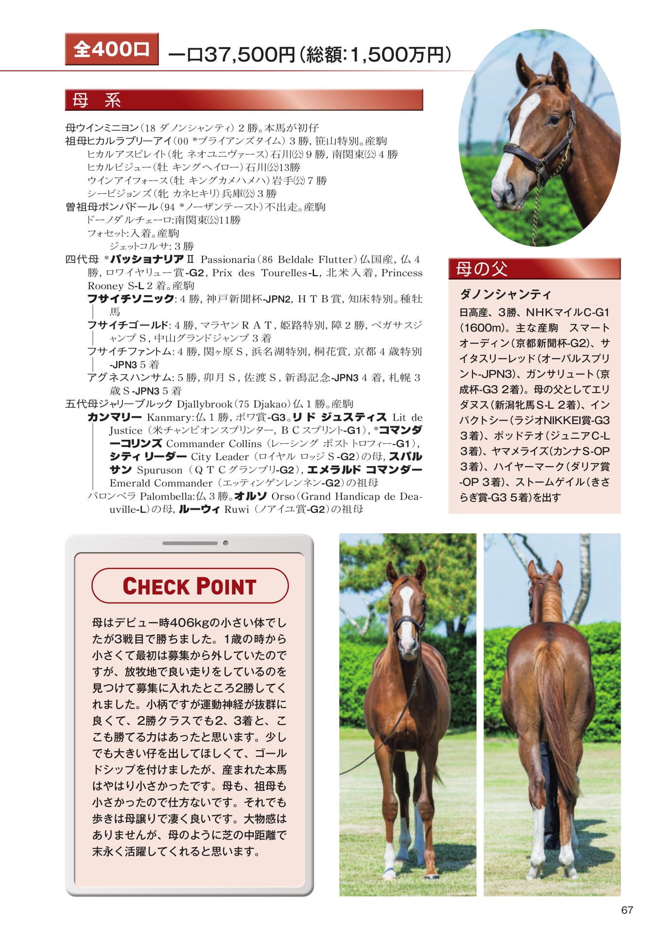 Page 67 23 ウインミニヨンの25