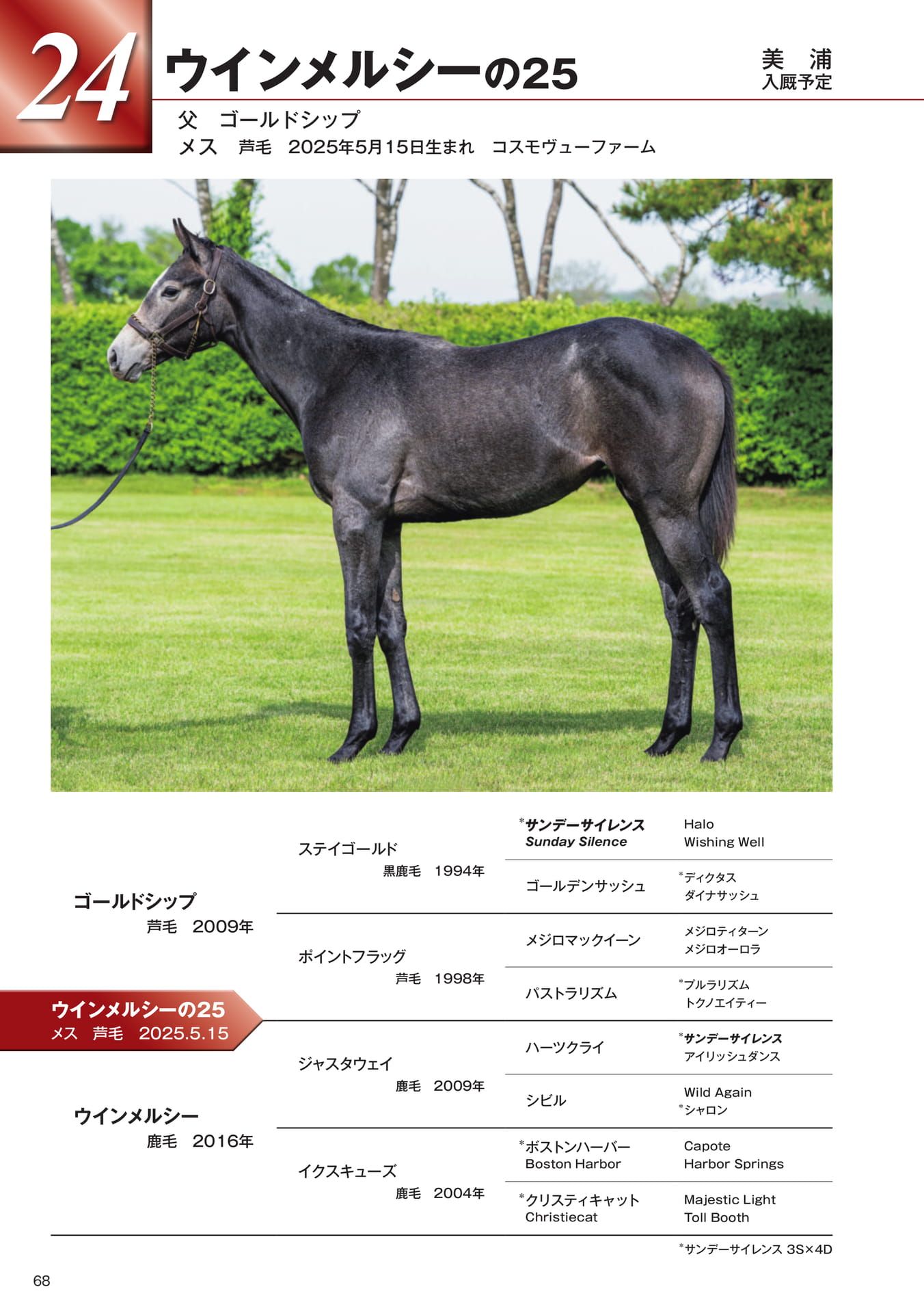 Page 68 24 ウインメルシーの25