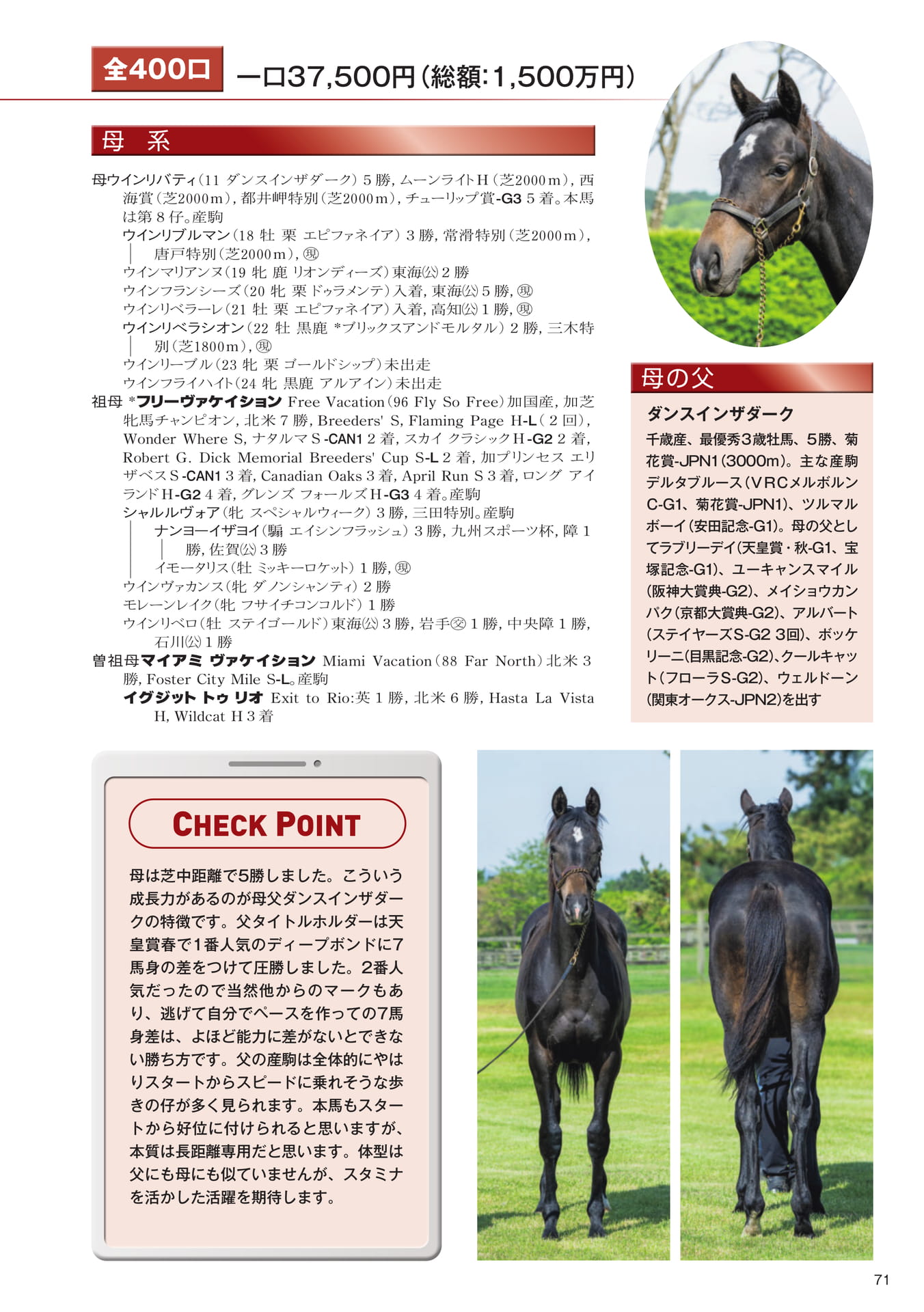 Page 71 25 ウインリバティの25