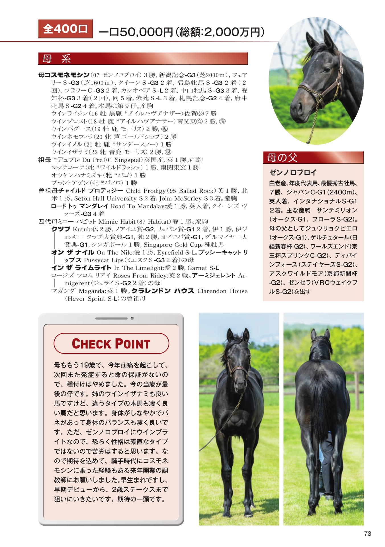 Page 73 26 コスモネモシンの25