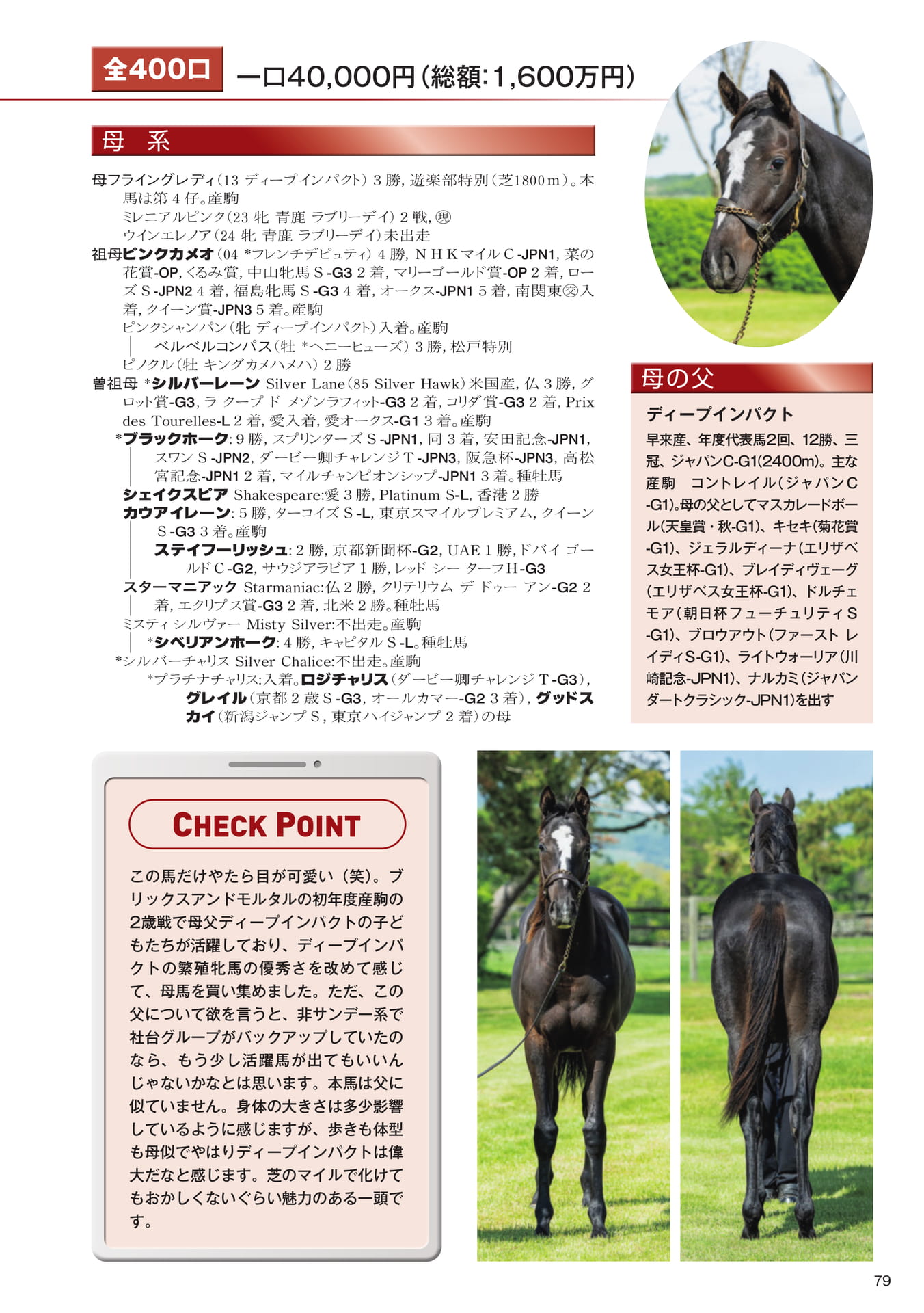 Page 79 29 フライングレディの25
