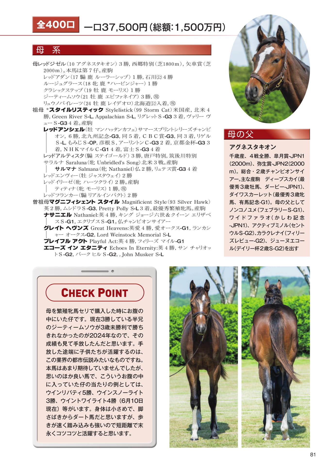 Page 81 30 レッドジゼルの25