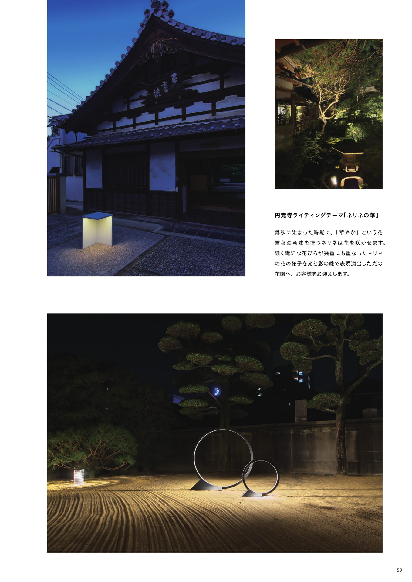 Page 61