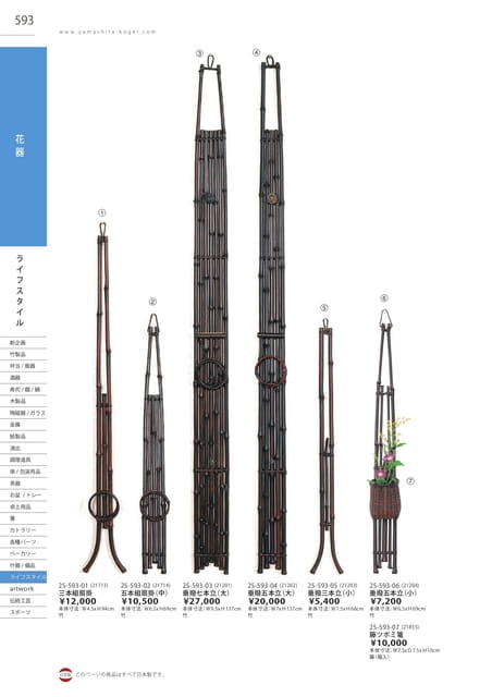 P593