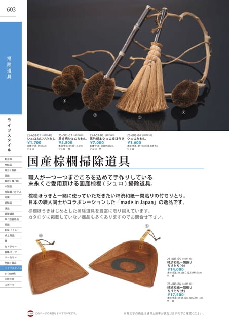 P603